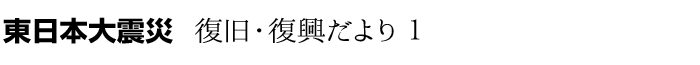 東日本大震災 復旧・復興だより1